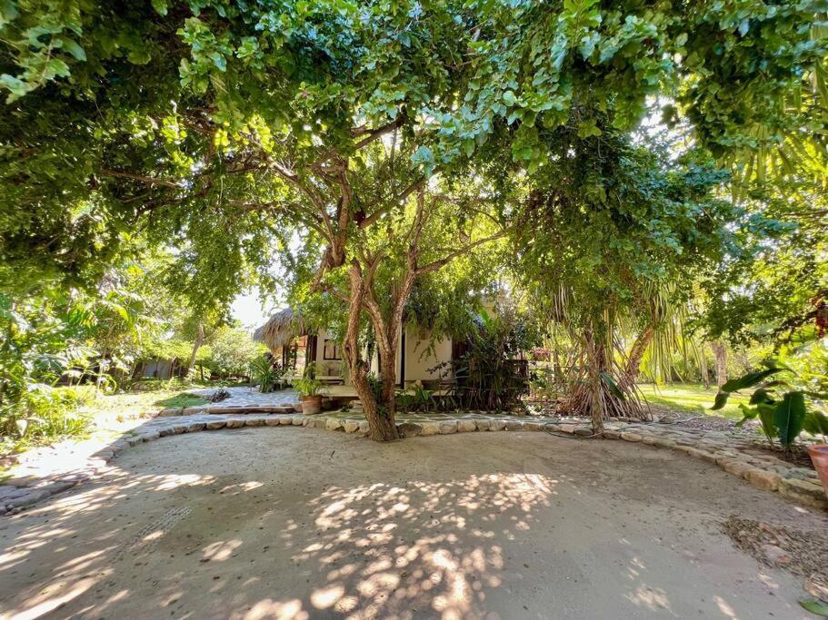 Casa Kuul, Elegant Fusion Of House And Garden. Puerto Escondido (Oaxaca) Exterior foto