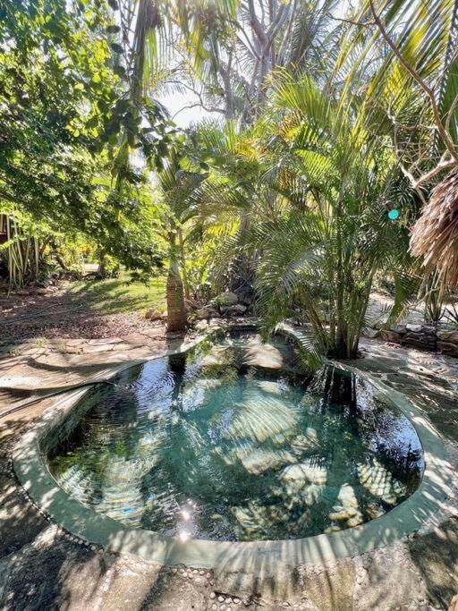 Casa Kuul, Elegant Fusion Of House And Garden. Puerto Escondido (Oaxaca) Exterior foto